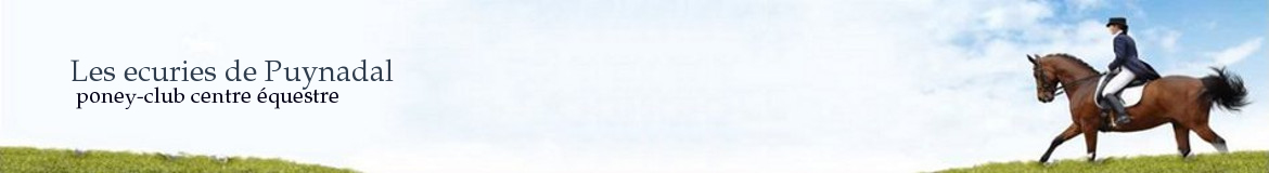 Les ecuries de Puynadal